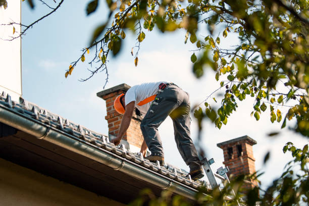 Best Green or Eco-Friendly Roofing Solutions  in Deshler, OH